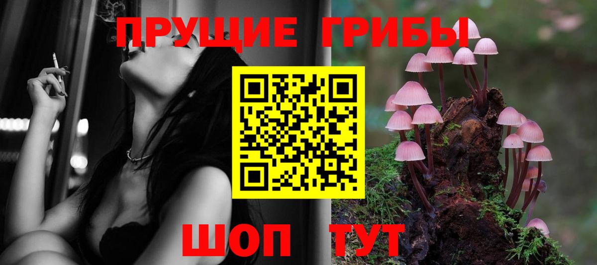 Псилоцибиновые грибы Psilocybine cubensis Чайковский