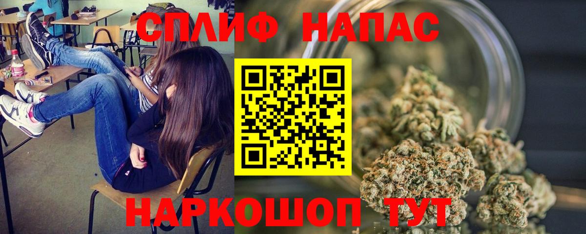 Шишки марихуана план  Вход с VPN  МАРИХУАНА THC 21%  Чайковский 